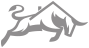 bull icon