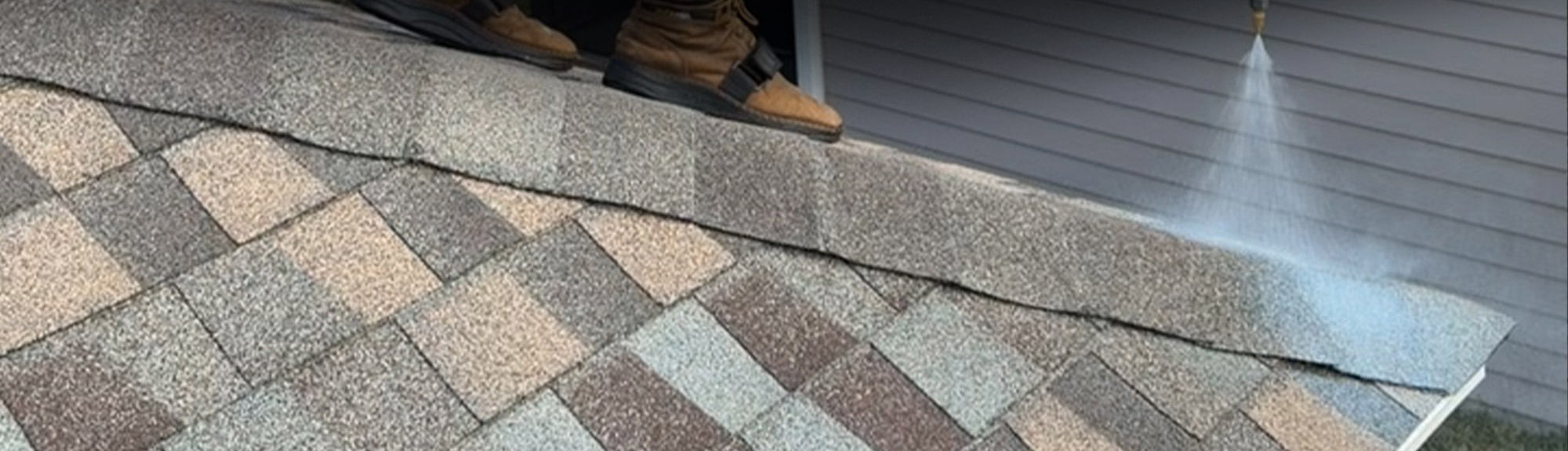 Shingle RX Header Image