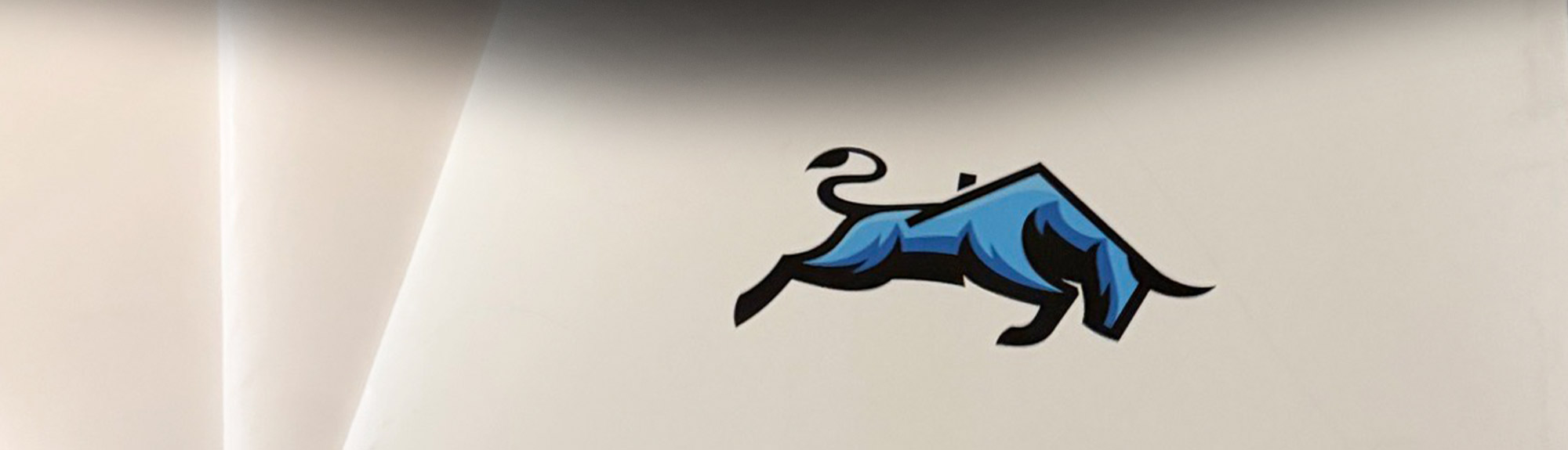 Brazen Roofing bull logo printed on a branded presentation folder