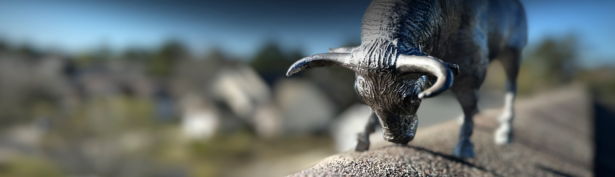 Brazen Roofing bull on a shingle roof, representing our commercial roof maintenance program